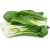Bok Choy 500g +MVR 10.00