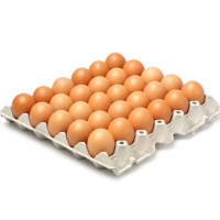 Fresh Brown Eggs Tray