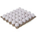 Fresh White Eggs Tray