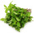 Mint Leaves 100g +MVR 10.00