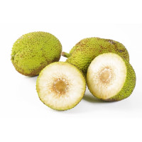 Breadfruit Breadfruit