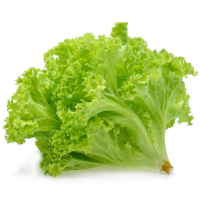 Lettuce - 100g
