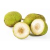 Breadfruit..
