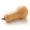 Butternut..